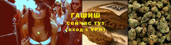 дмт Переславль-Залесский