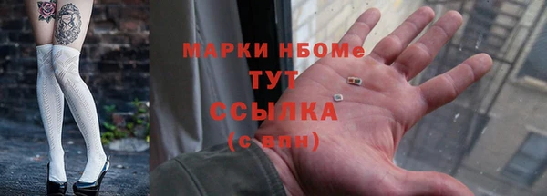 прущие грибы Абинск