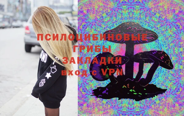 дмт Переславль-Залесский