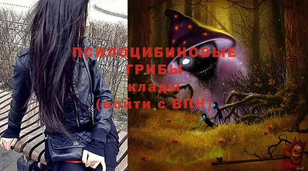 прущие крисы Абаза