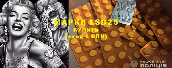 прущие грибы Абинск