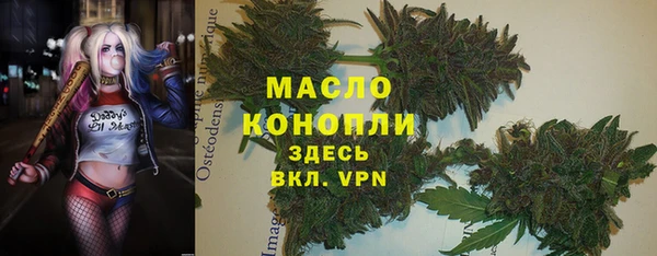 прущие грибы Абинск