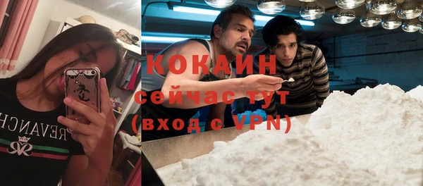 прущие крисы Абаза