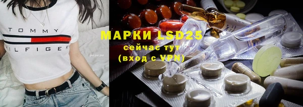 прущие грибы Абинск