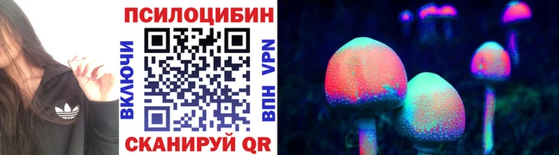 Псилоцибиновые грибы прущие грибы хочу мега как войти Поворино